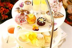 Lilianfels Weddings