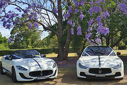 M1 Limousines