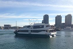 Magic Charters