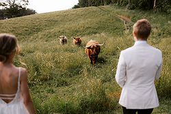 Mali Brae Farm Weddings