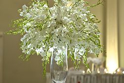 Manor on High Weddings