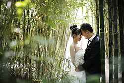 Melbourne Zoo Weddings