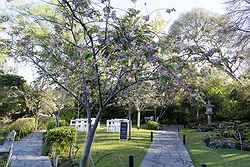 Melbourne Zoo Weddings