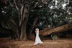 Melbourne Zoo Weddings