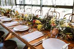 Melbourne Zoo Weddings