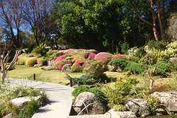 Melbourne Zoo Weddings