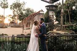 Melbourne Zoo Weddings