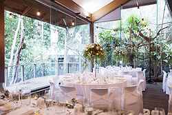 Melbourne Zoo Weddings