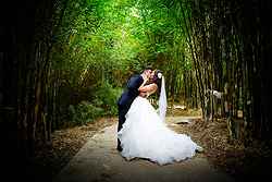 Melbourne Zoo Weddings