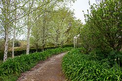 Homestead Lawns & Gardens at Narmbool