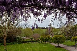 Homestead Lawns & Gardens at Narmbool