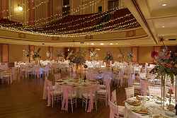 Newcastle City Hall Weddings
