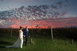 Oakridge Wines Weddings