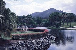 Pacific Bay Resort Weddings