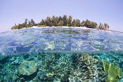 Park Hyatt Maldives Hadahaa