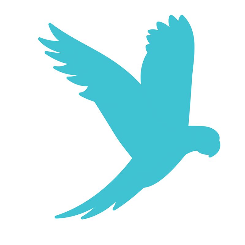 Parrot Media