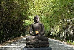 Best Garden Honeymoon Destination - The Pavilions Phuket at Real Weddings