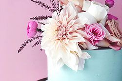 Petal + Peach Bespoke Cakery