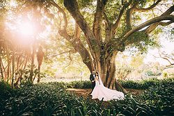 Pier One Sydney Harbour Weddings