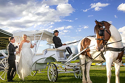 Prestige Horse Carriages