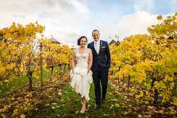Rochford Wines Yarra Valley Weddings