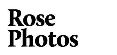 Rose Photos