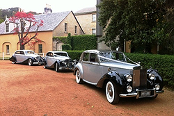 Royalty Weddings