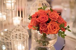 Royce Hotel Weddings