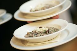 Royce Hotel Weddings