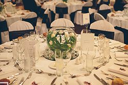 Royce Hotel Weddings