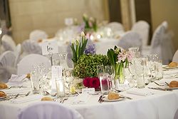 Royce Hotel Weddings