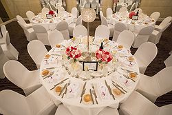 Royce Hotel Weddings