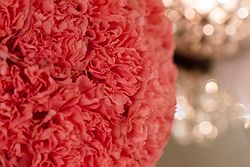 Royce Hotel Weddings