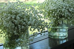 Flower Designs - SALA Phuket Resort at Real Weddings