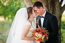 Shauna Wine Weddings