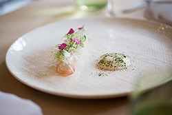 Canapes for Weddings - Sofitel Sydney Wentworth at Real Weddings