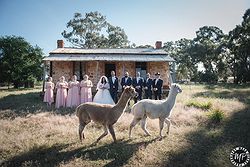Stevens Estate Garden Weddings