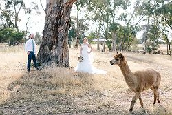Stevens Estate Garden Weddings