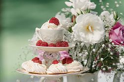 Stevens Estate Garden Weddings