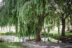 Outdoor Wedding Ceremony - Stevens Estate Garden at Real Weddings