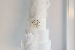 Sugar Impression Cakes