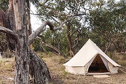 Swell Shelter
