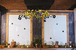 Sylvan Glen Weddings