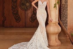The Sposa Group