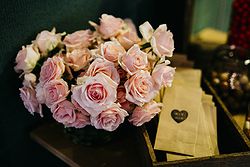 Thredbo Alpine Hotel Weddings