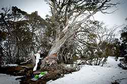 Thredbo Alpine Hotel Weddings