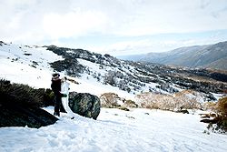 Thredbo Alpine Hotel Weddings