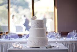 Thredbo Alpine Hotel Weddings