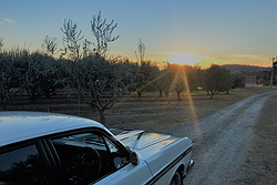 True Blue Wedding Cars