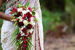True Colors Florist